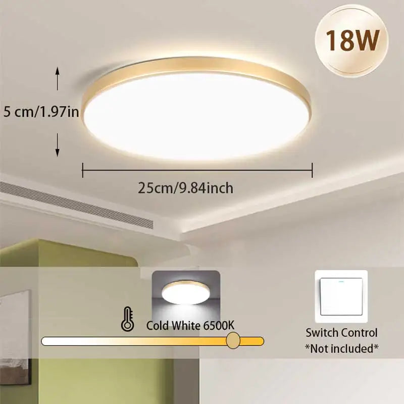 Fashion Three Proof Ceiling Light flush mount ceiling light for Bedroom Kitchen Living Room Indoor Home Lighting Fixtures
