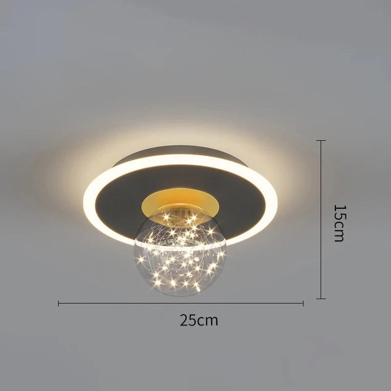 LED Nordic Ceiling Lamps Indoor Lighting Home Lamp For Living Room Dining Table Bedroom Decoration Corridor Ceiling Light
