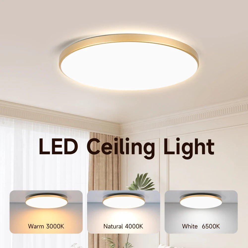 Fashion Three Proof Ceiling Light flush mount ceiling light for Bedroom Kitchen Living Room Indoor Home Lighting Fixtures