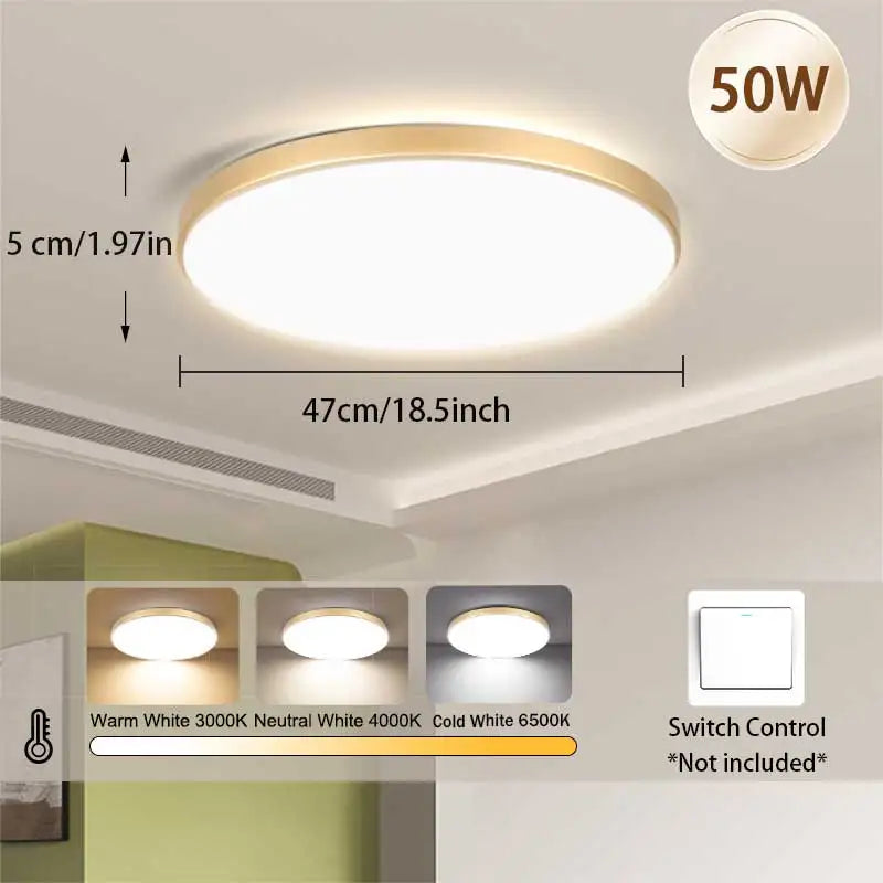 Fashion Three Proof Ceiling Light flush mount ceiling light for Bedroom Kitchen Living Room Indoor Home Lighting Fixtures